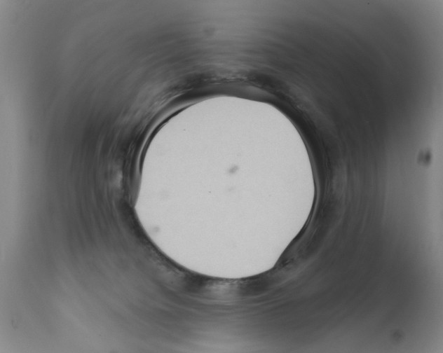 X0000111510084200908251123