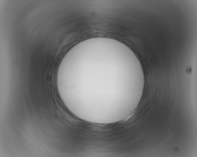 X0000111510086200908251123