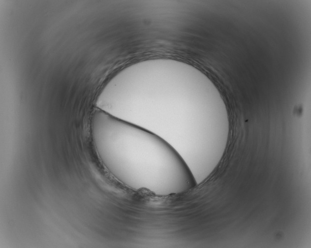 X0000111510088200908251123