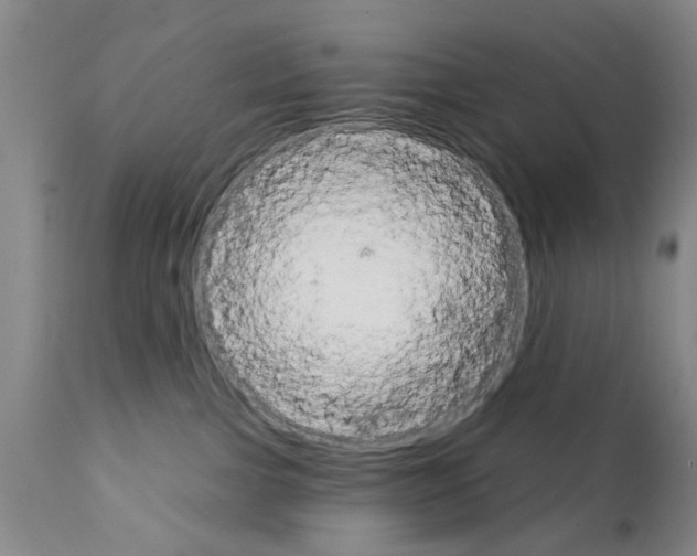 X0000111510091200908251123