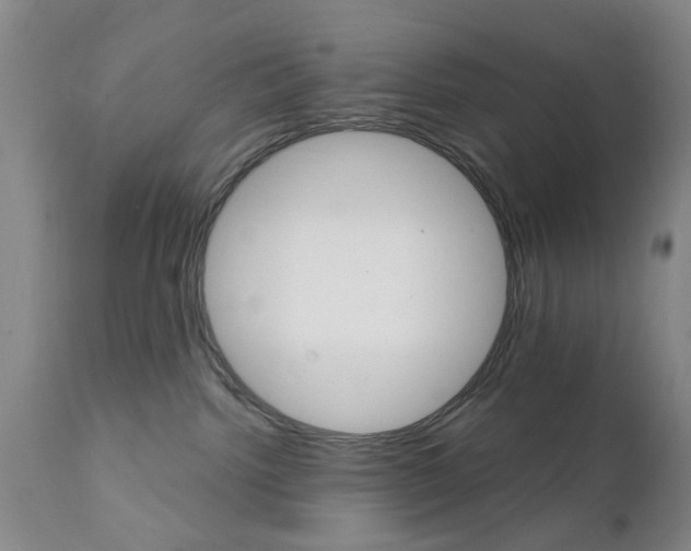 X0000111510092200908251123