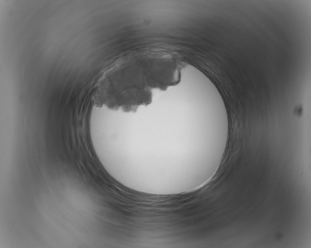 X0000111510094200908251123