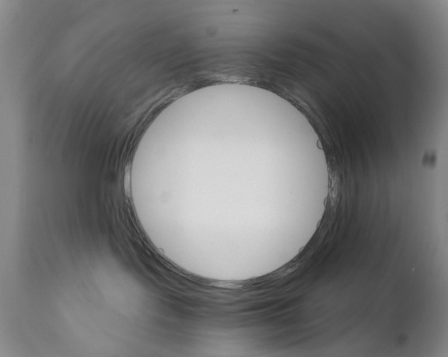 X0000111510095200908251123