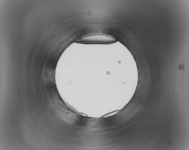 X0000111510096200908251123