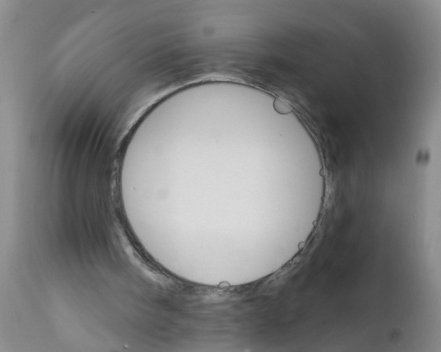 X0000111510098200908251122