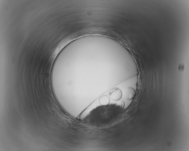 X0000111510099200908251122