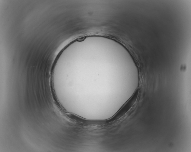 X0000111510100200908251122