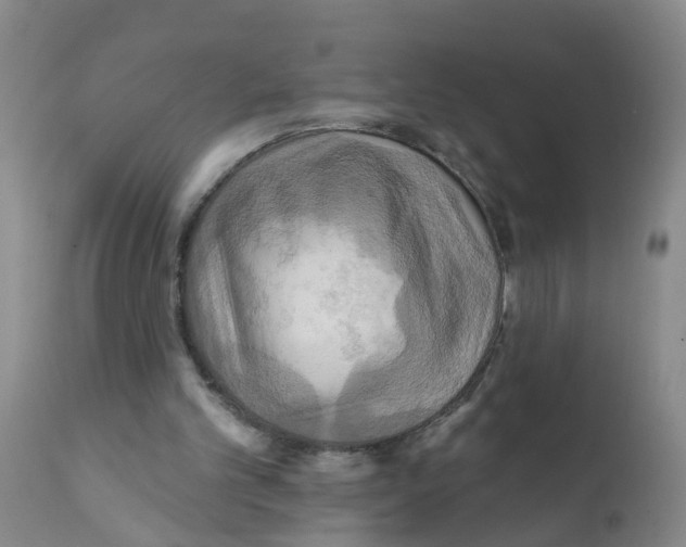 X0000111510101200908251122