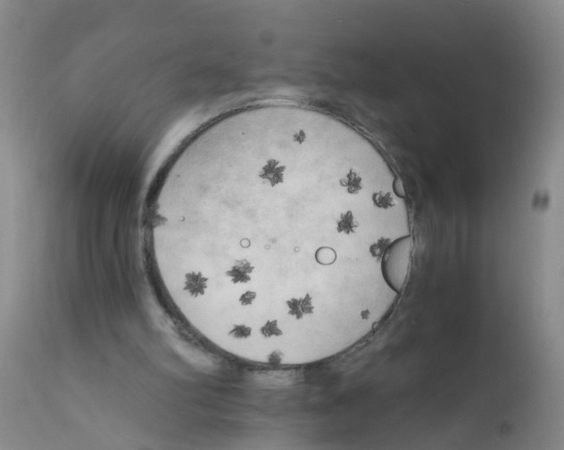 X0000111510102200908251122