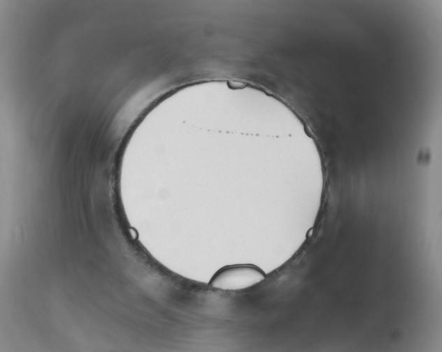 X0000111510103200908251122