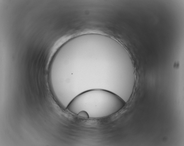 X0000111510104200908251122