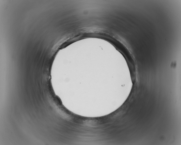 X0000111510105200908251122