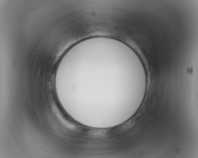 X0000111510106200908251122