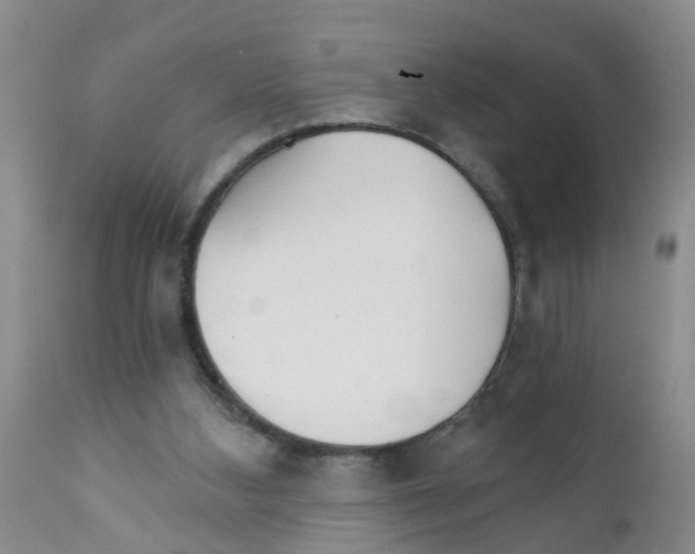 X0000111510108200908251122