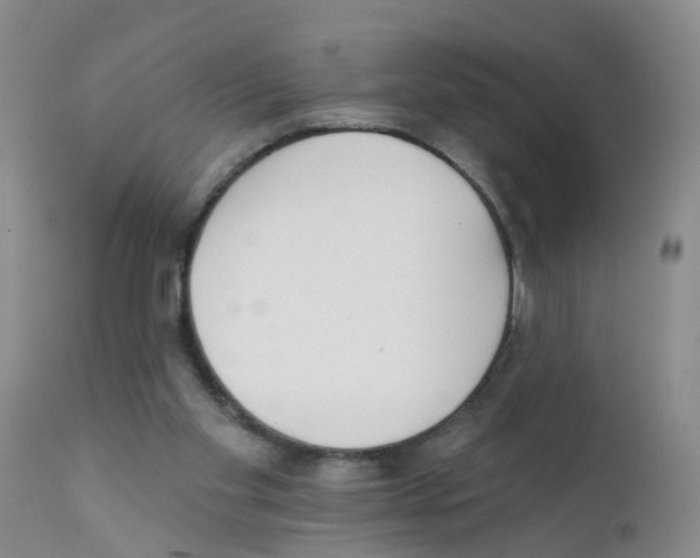 X0000111510109200908251122