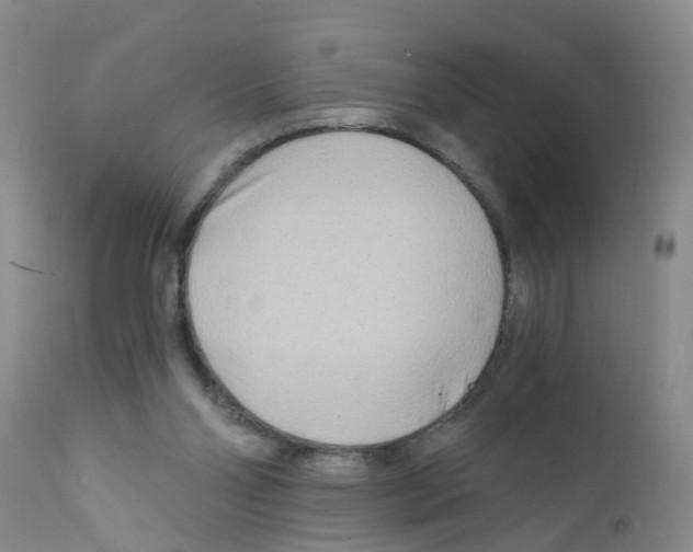 X0000111510110200908251122