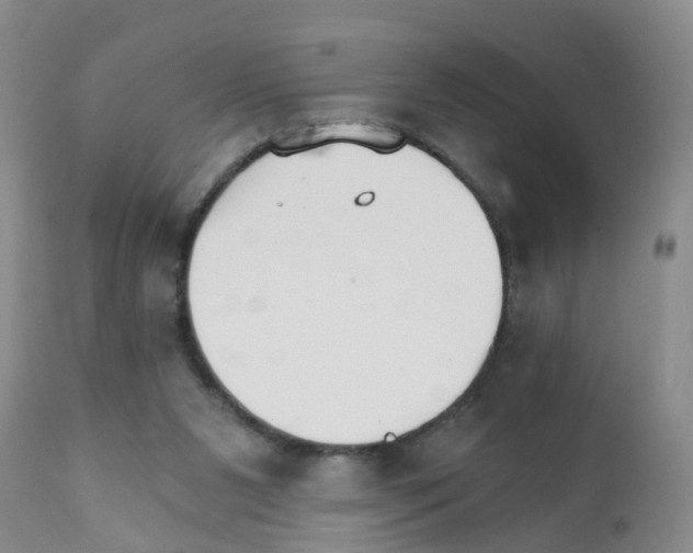 X0000111510111200908251122