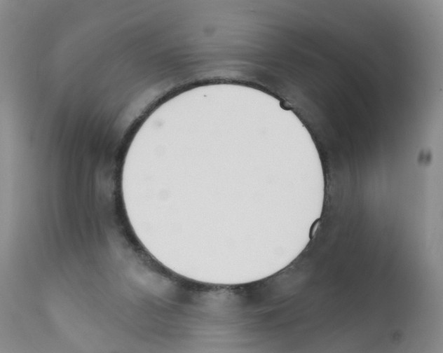 X0000111510112200908251122