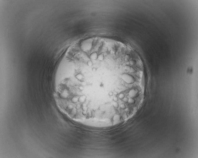 X0000111510115200908251122