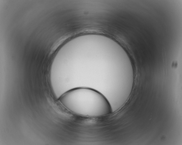 X0000111510116200908251122