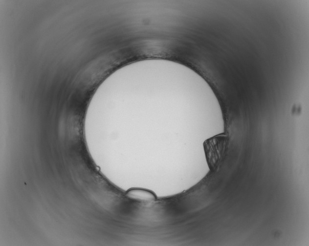 X0000111510117200908251122