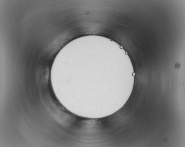 X0000111510118200908251122