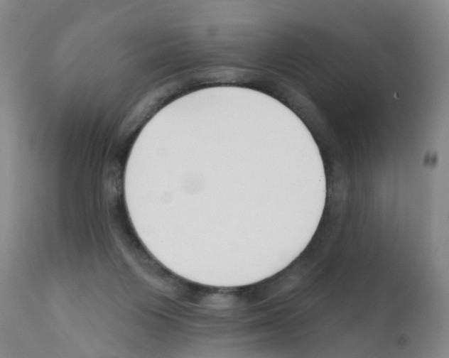 X0000111510119200908251122