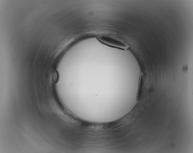 X0000111510120200908251122