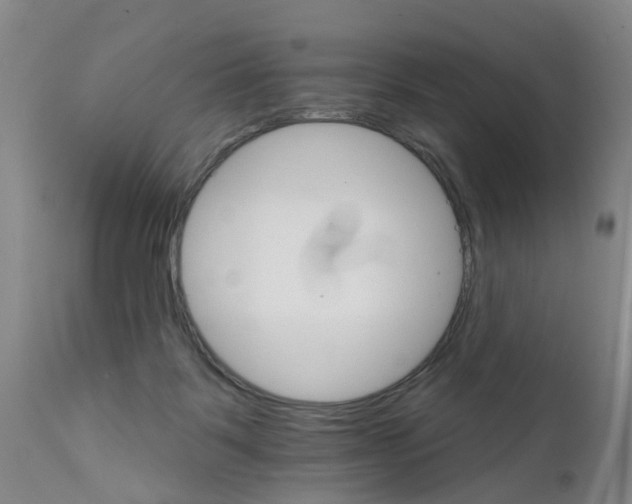 X0000111510123200908251122