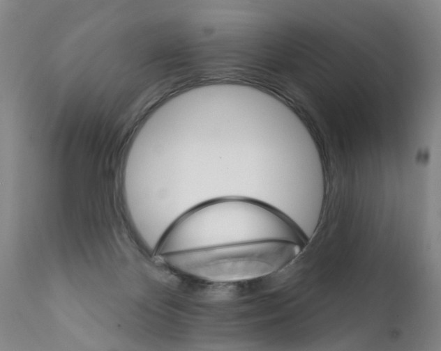 X0000111510124200908251122