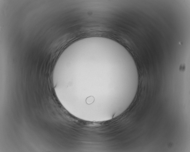 X0000111510125200908251122