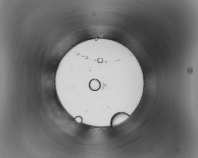 X0000111510126200908251122