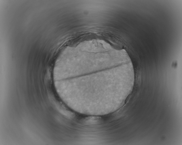 X0000111510128200908251122