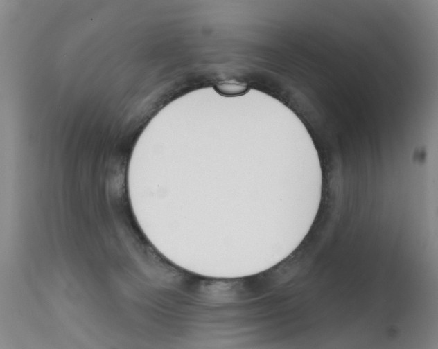 X0000111510129200908251122