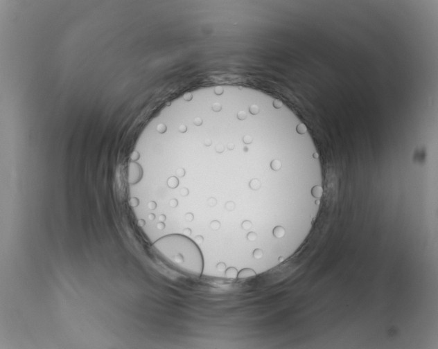 X0000111510130200908251122