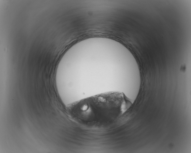 X0000111510131200908251122