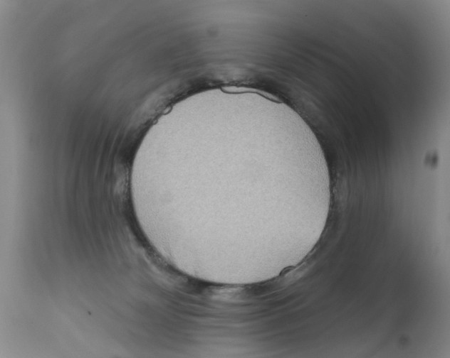 X0000111510132200908251122
