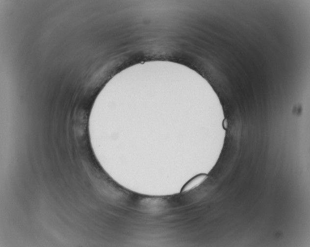 X0000111510133200908251122