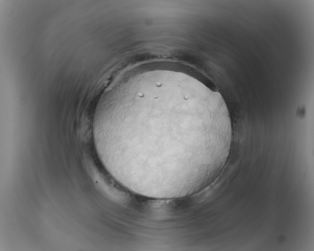 X0000111510136200908251122