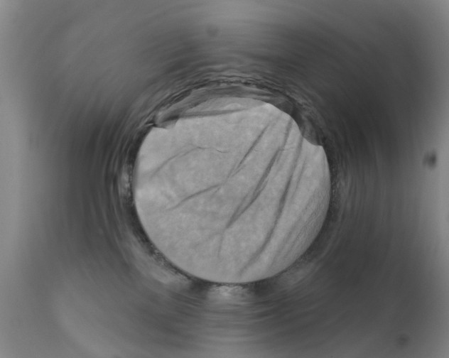 X0000111510137200908251122
