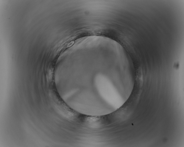 X0000111510139200908251122