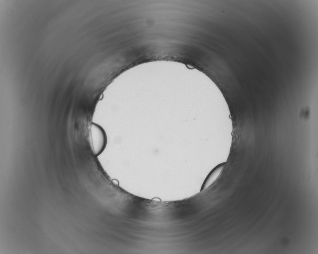 X0000111510142200908251122