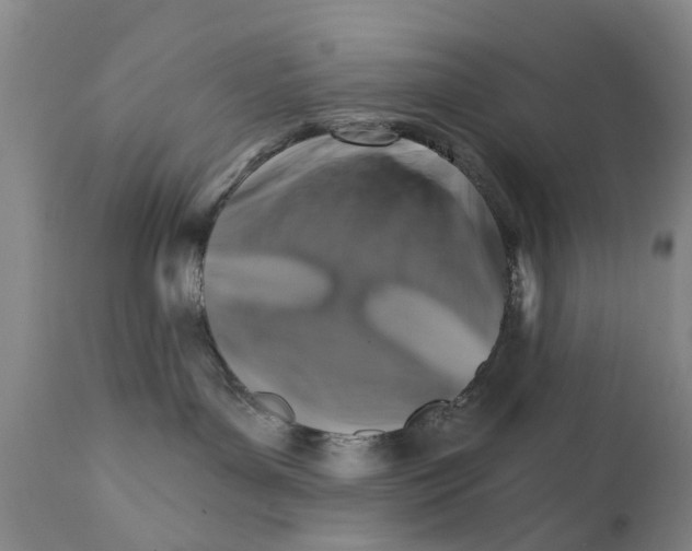 X0000111510143200908251122
