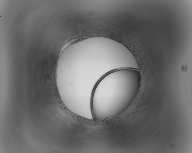 X0000111510144200908251122
