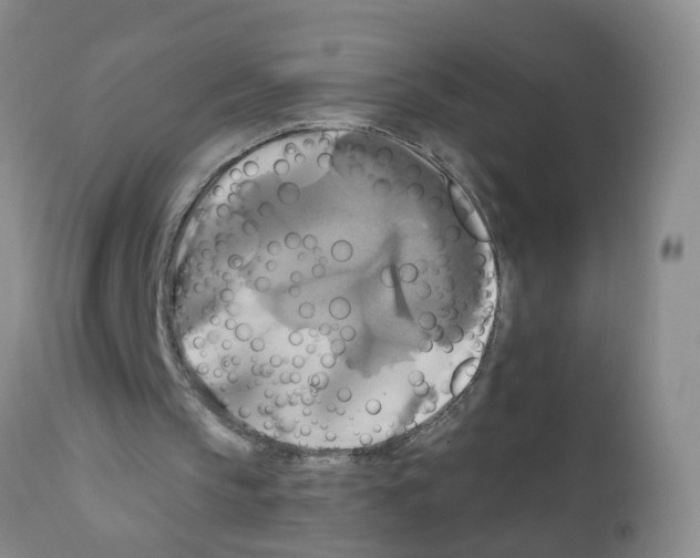 X0000111510145200908251121