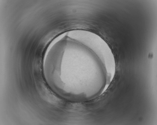 X0000111510146200908251121