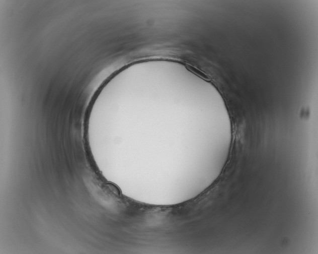 X0000111510148200908251121
