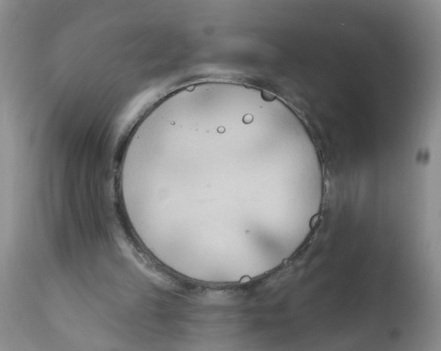 X0000111510149200908251121