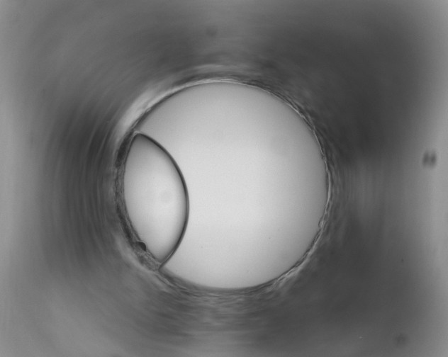 X0000111510150200908251121