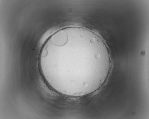 X0000111510151200908251121